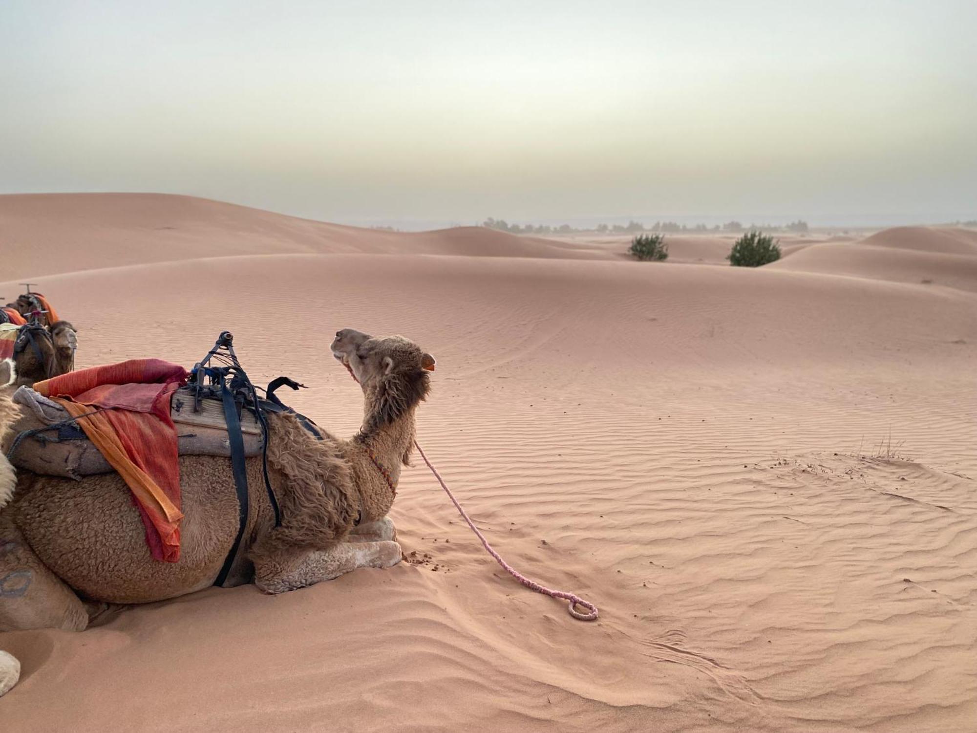 Erg Chebbi Sahara Camp Hotel Merzouga Luaran gambar